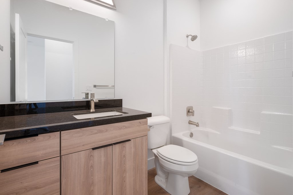 a bathroom with a sink and a toilet and a bath tub