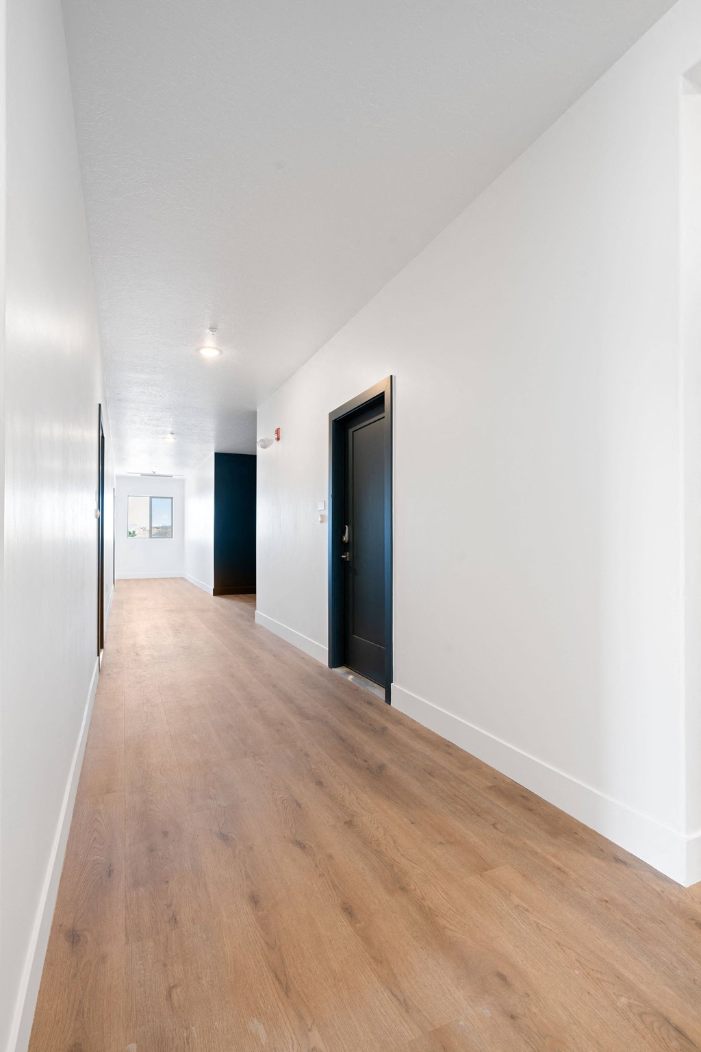 a hallway with white walls and wood floors and a black door