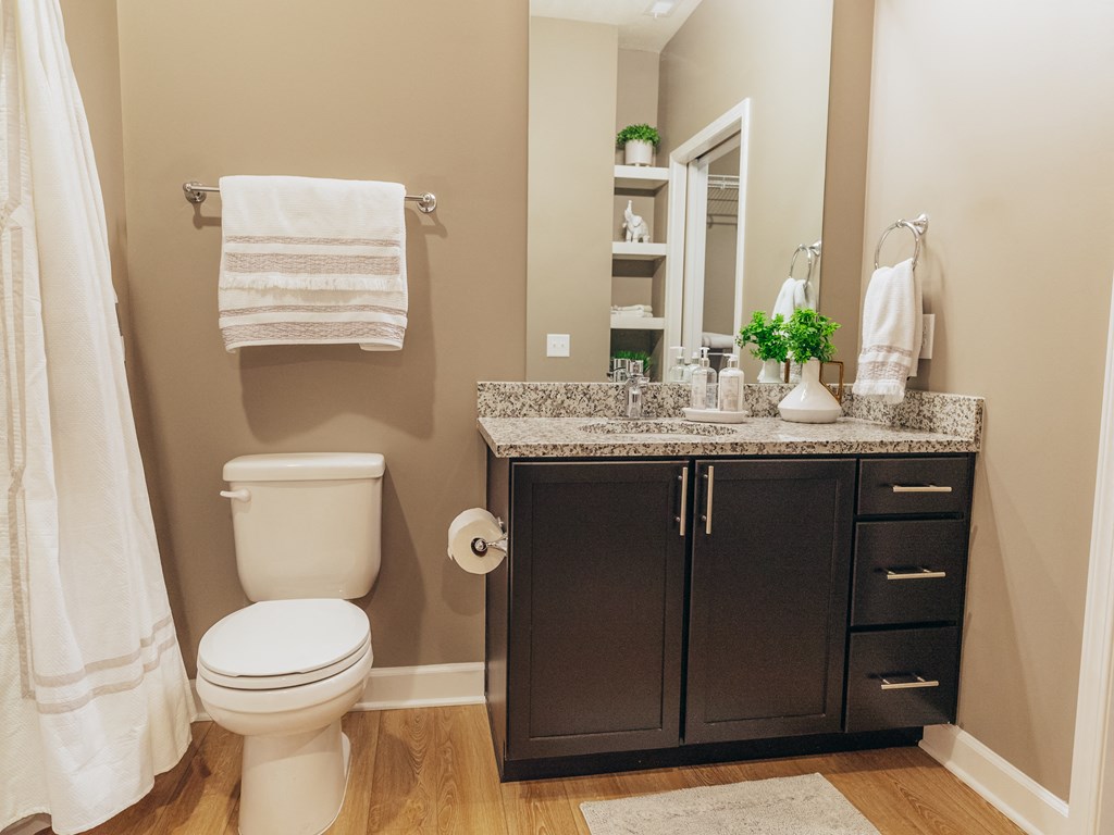 a bathroom with a toilet and a sink and a mirror