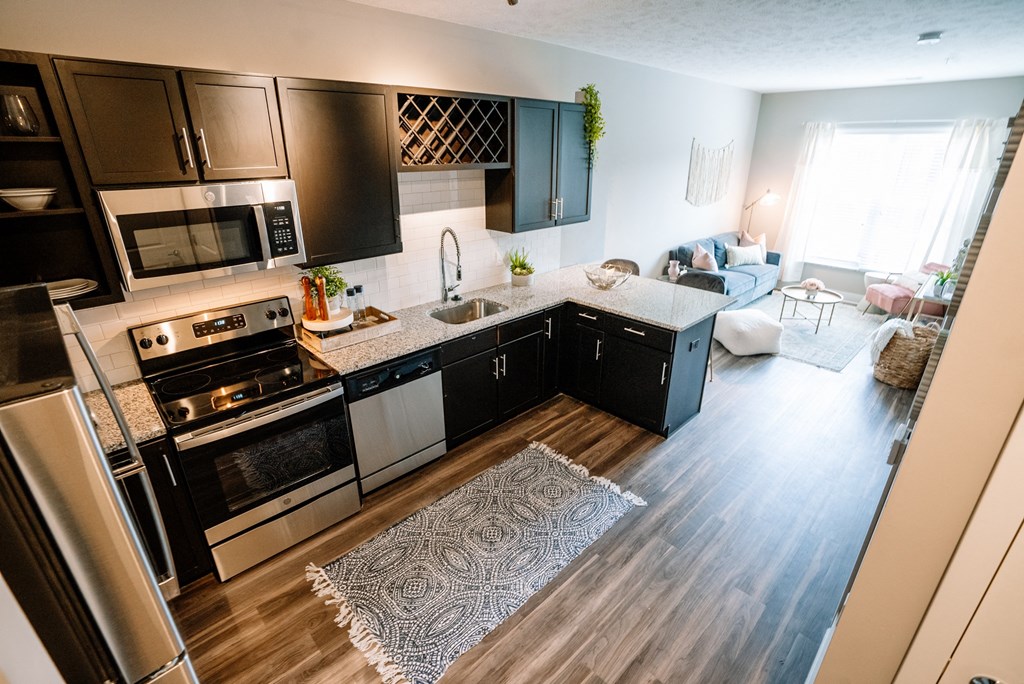 a kitchen with black cabinets and stainless steel appliances and a rug