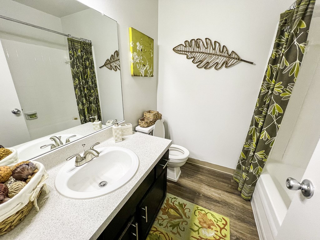 a bathroom with a sink and a toilet and a mirror