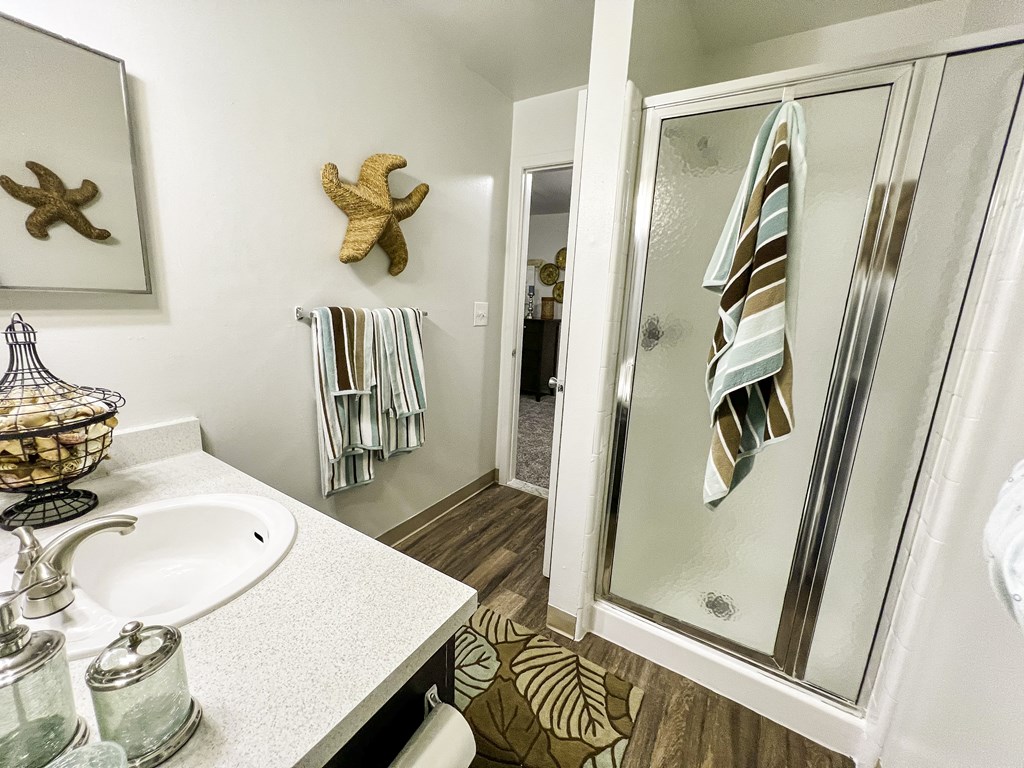 a bathroom with a shower and a sink and a mirror