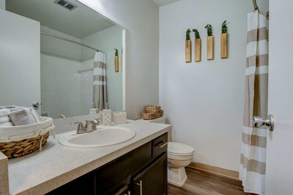 a bathroom with a sink and a toilet and a mirror