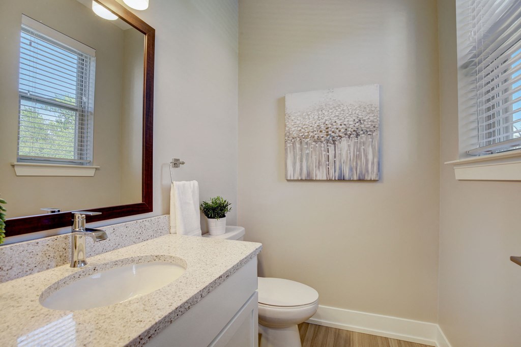 a bathroom with a sink and a toilet and a mirror
