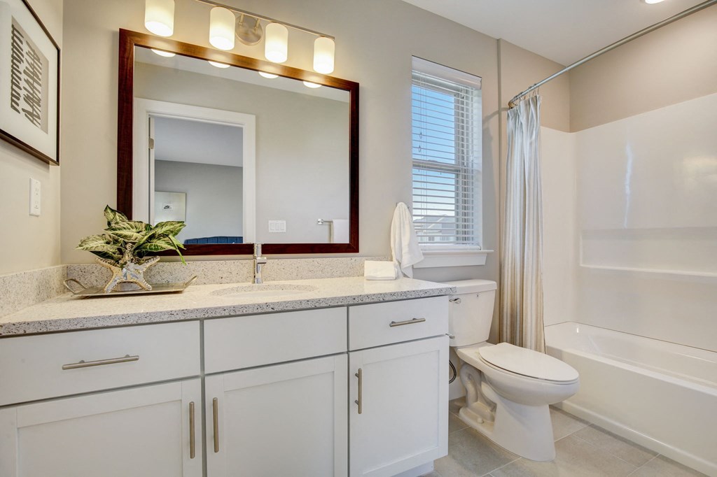 a bathroom with a mirror and a toilet and a shower