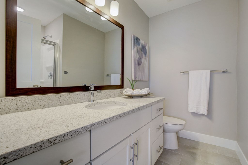 a bathroom with a sink and a mirror and a toilet