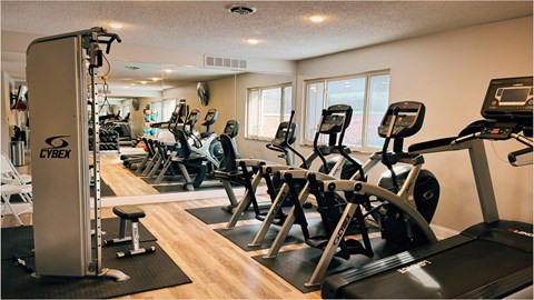 A gym with treadmills and exercise equipment.