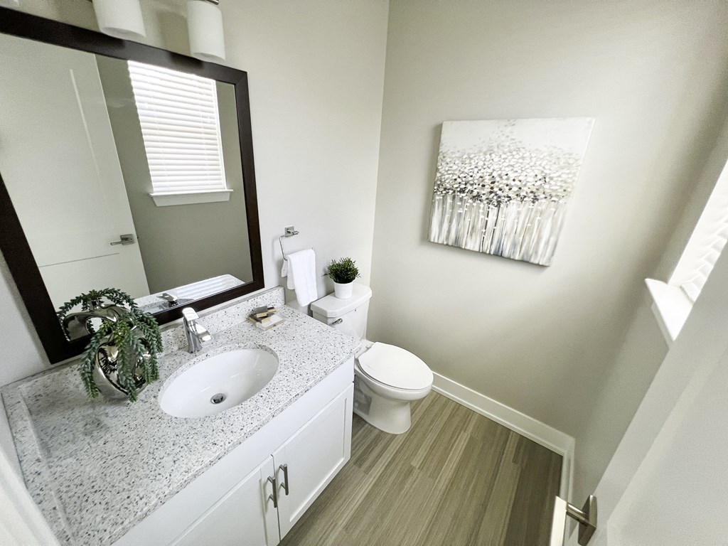 a bathroom with a sink and a toilet and a mirror