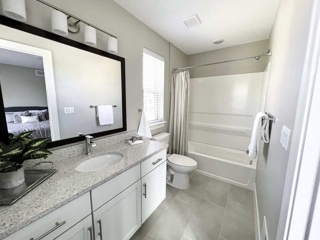 a bathroom with a sink and a mirror and a toilet