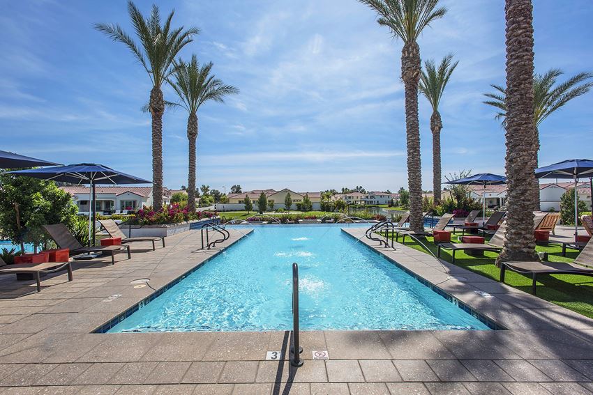 Resort-style pool Lined with Palm Trees Almeria - Resort-style pool Lined with Palm Trees - Photo Gallery