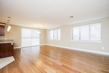 Harbor Hill Apartments abundant light