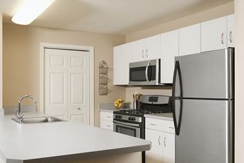 Stainless steel appliances - Hampshire Green Apartments