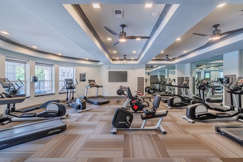 Resident fitness center - Cheswyck at Ballantyne Apartments