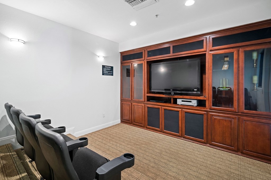 Barton Vineyard Apartments - Theater room