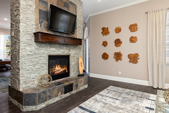Cordillera Ranch Apartments indoor fireplace and TV - Photo Gallery 6