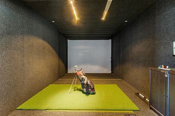 Virtual golf driving range - Everlee