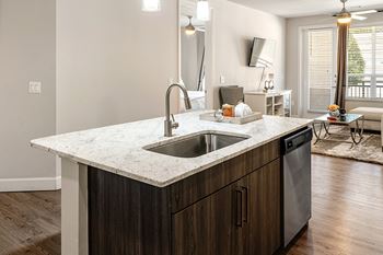 Under-mount stainless steel sinks - Everlee
