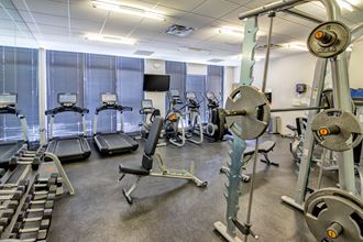 The Sheffield SoNo fitness center The Sheffield SoNo fitness center - Photo Gallery