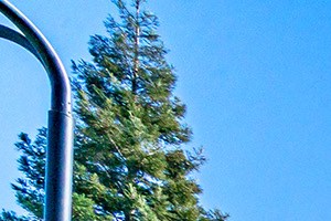 Willow Springs dog park with exercise stations