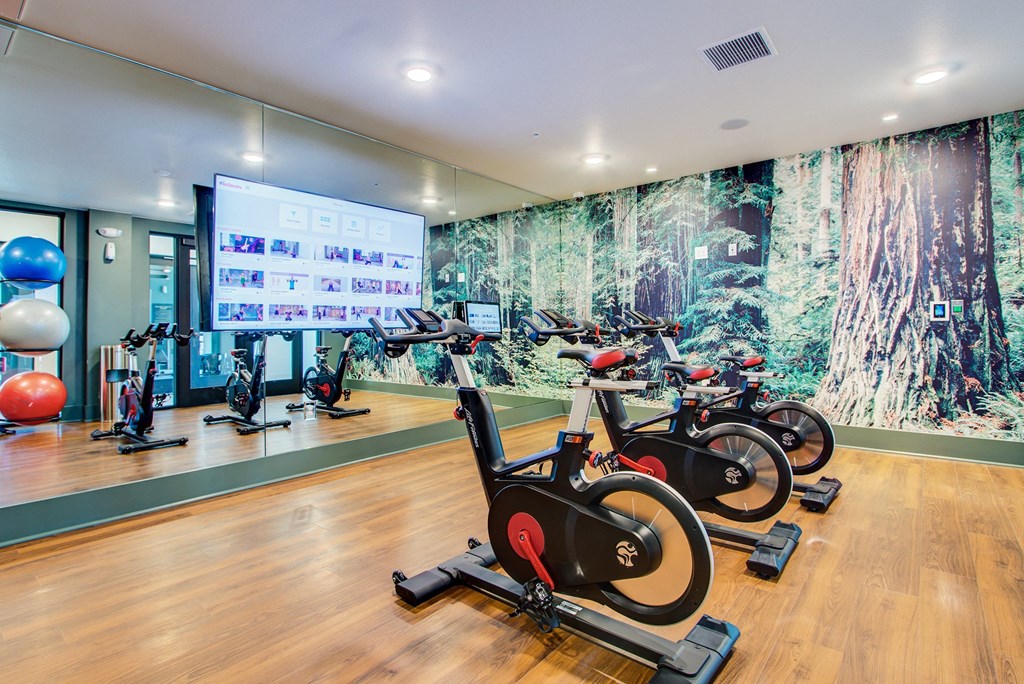 Rise at 2534 spin room