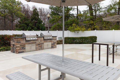 Island Park and Harbor Town Square Apartments - BBQ grills and picnic seating