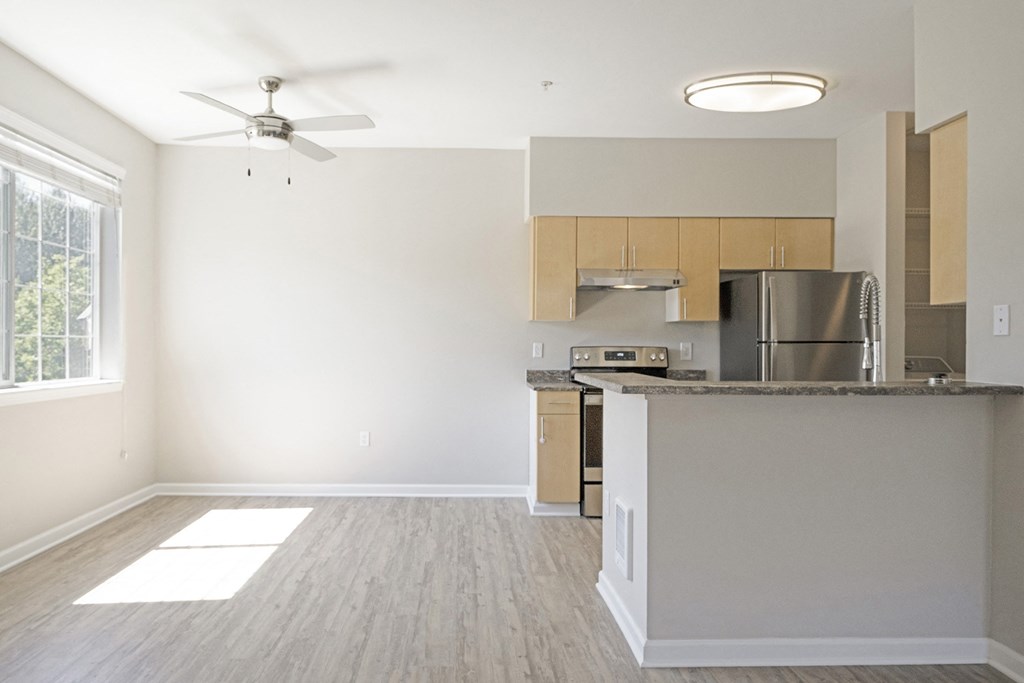 Well lit kitchen space - Springbrook Apartments