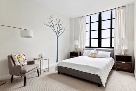 The Broderick large windows