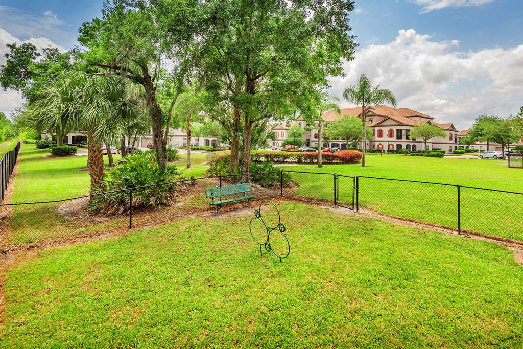 Delano at Cypress Creek dog park