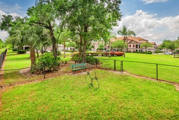 Delano at Cypress Creek dog park - Photo Gallery 10