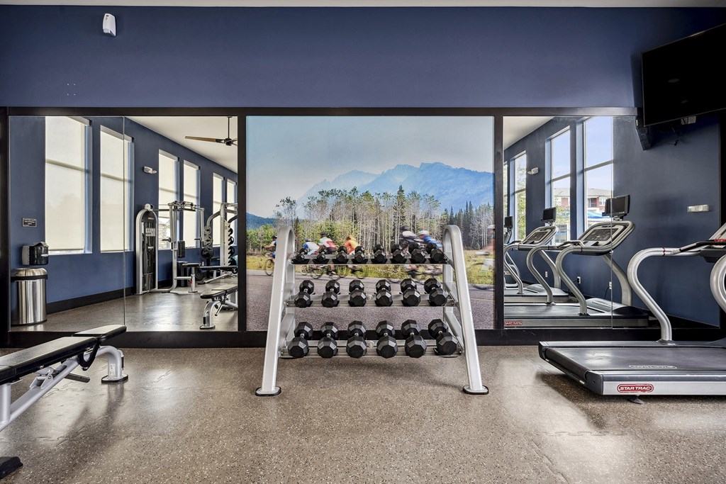 24-hour fitness center - Enclave at Cherry Creek