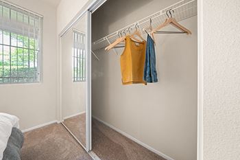 mirrored closet doors