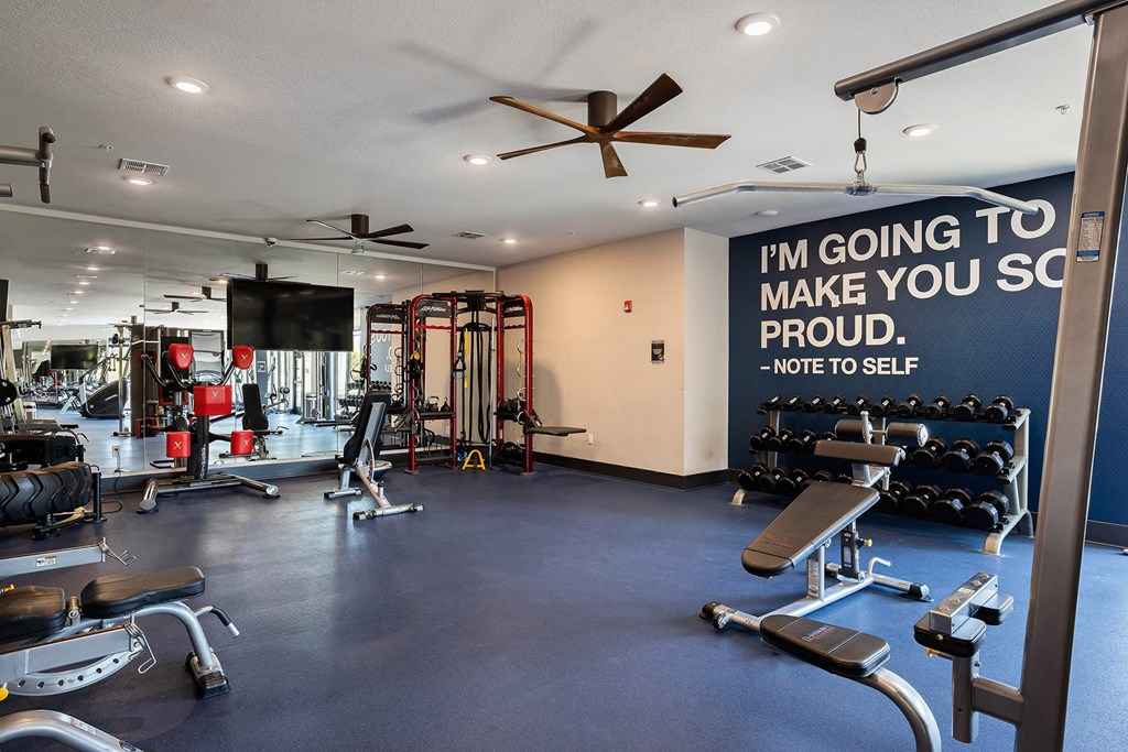 Element 25 fitness center weights