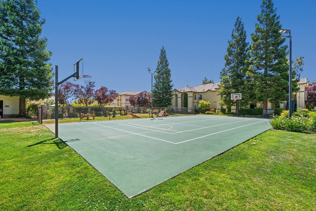 Lighted multi-sport court - Willow Spring Apartments