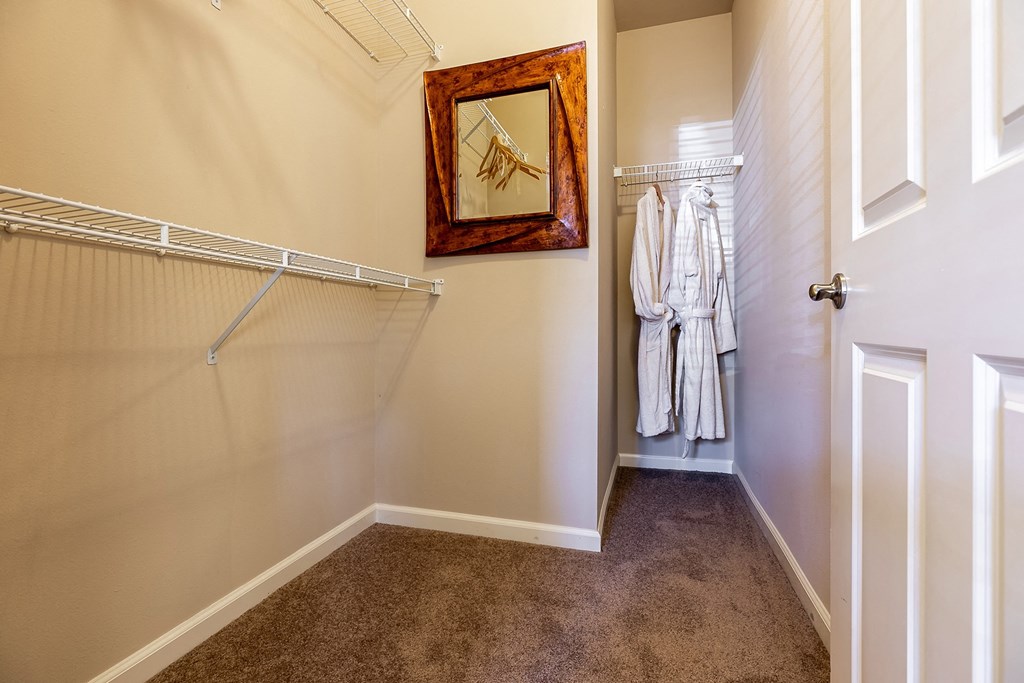 Walk-in closets - Springbrook Apartments