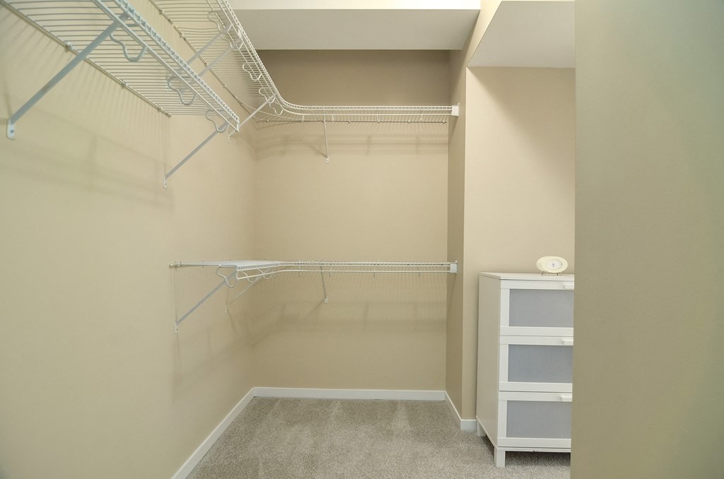 Abundant closet space - Eitel Apartments