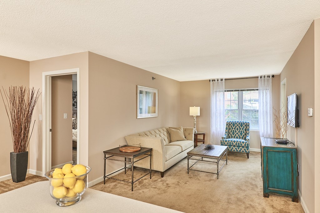 Carpeted living space in select units - Hampshire Green Apartments