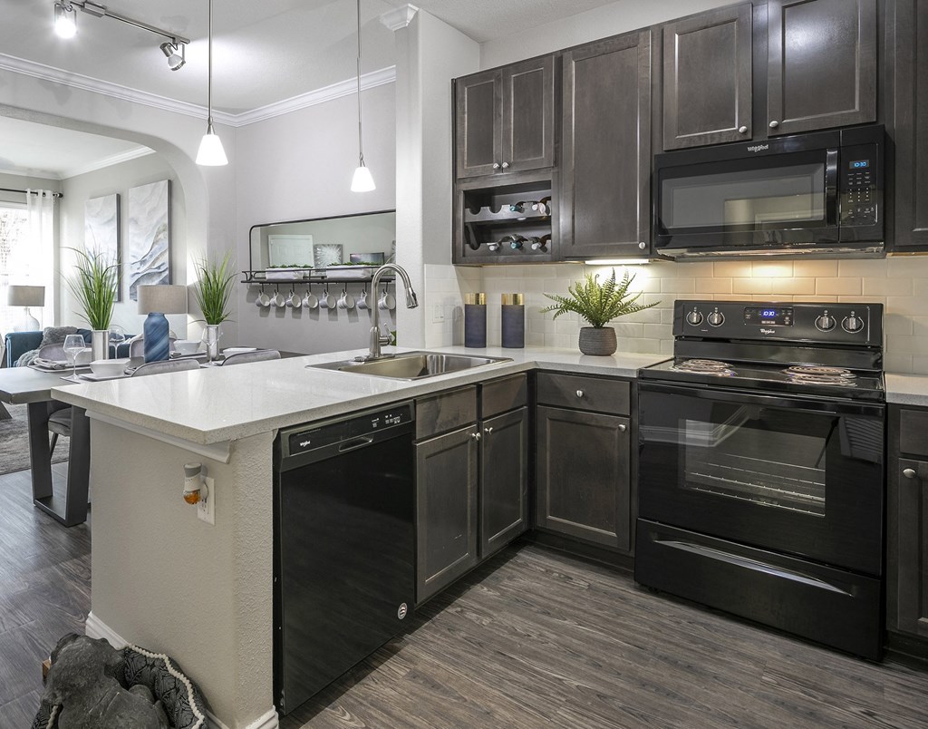 The Retreat at Cinco Ranch apartment kitchen with black appliances