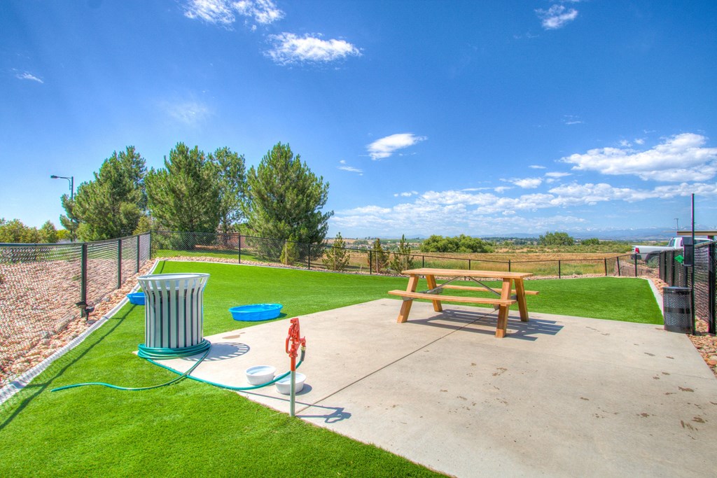 Rise at 2534 dog park