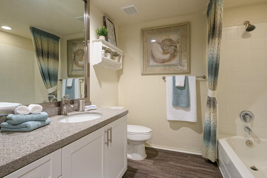 Hamptons on Heron Bay bathroom counter