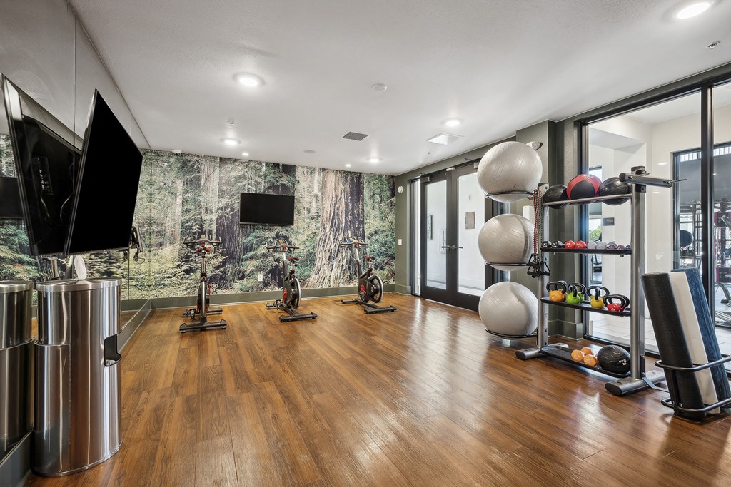 Velo room (bike/ski workshop) - Rise at 2534