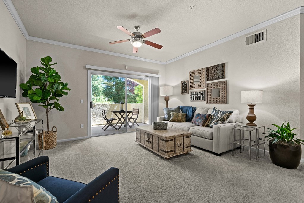 Ceiling fans with light kits - Willow Spring Apartments