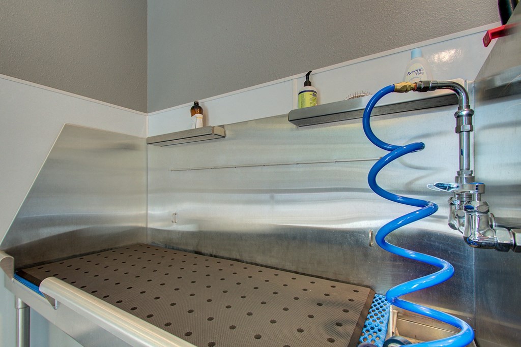 Rise at 2534 pet salon