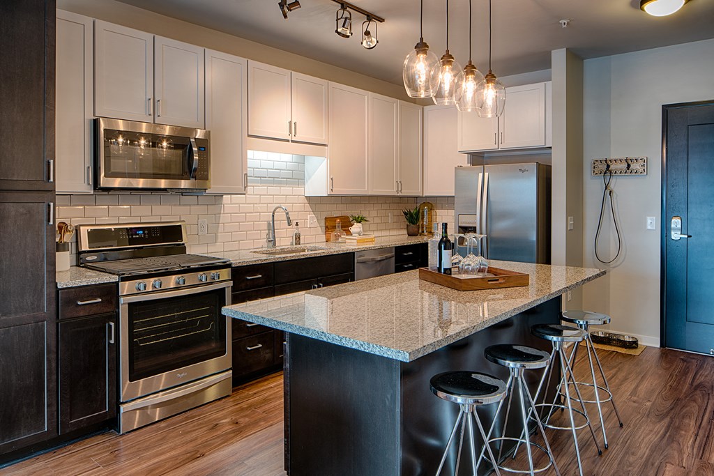 Stainless steel appliances - Onyx Edina