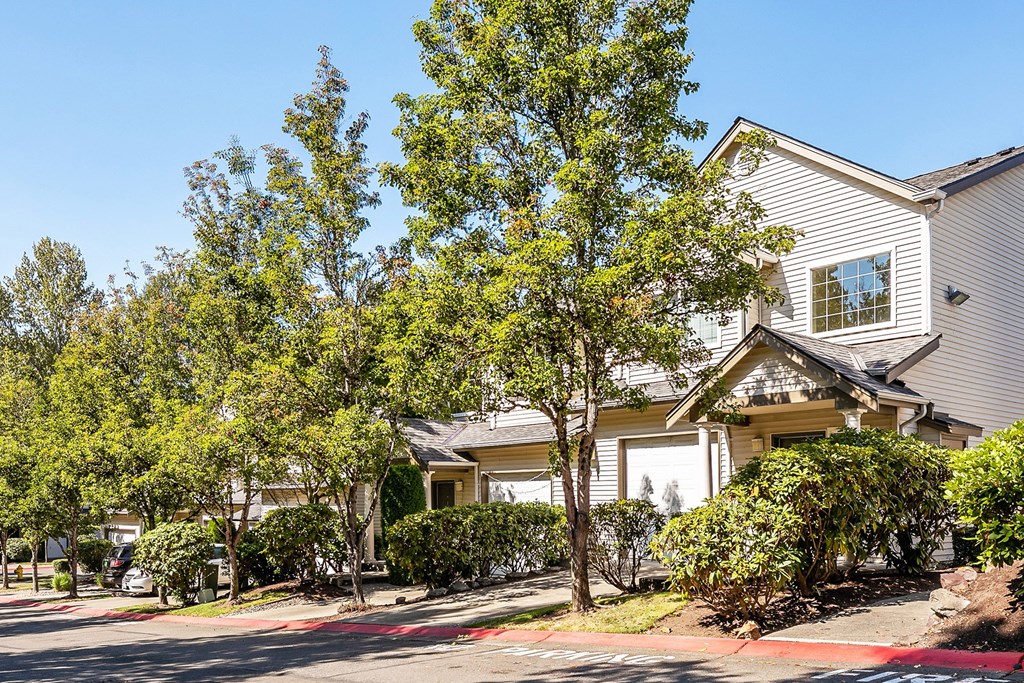 Beautiful tree lined grounds - Springbrook Apartments