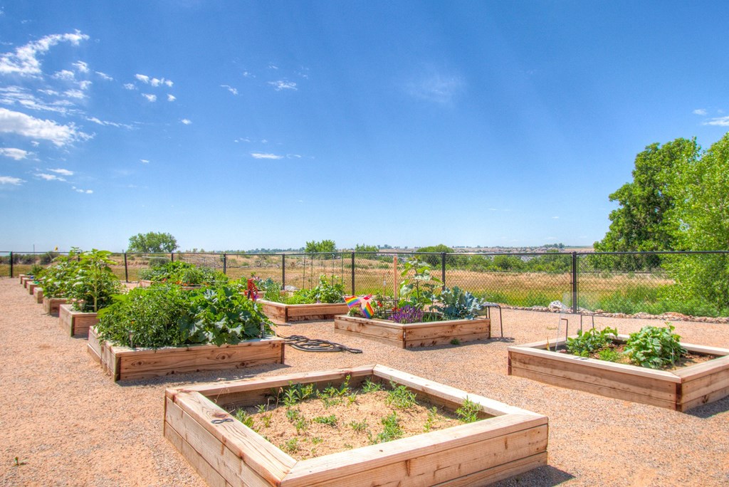 Rise at 2534 community garden