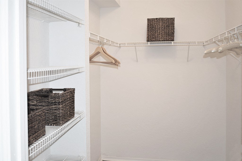 Hamptons on Heron Bay walk-in closet