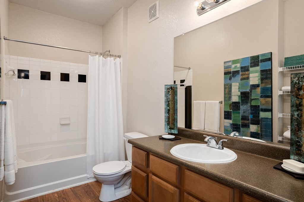 Carrington Place at Shoal Creek - Sleek bathrooms with wood-style flooring