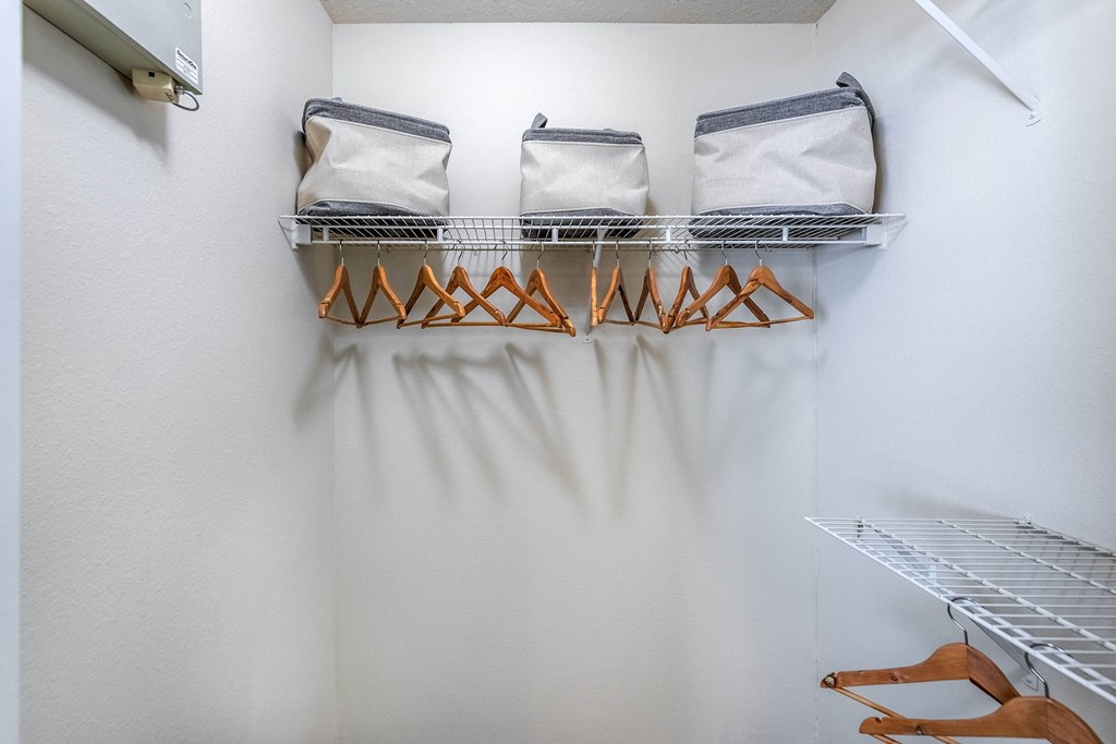 The Colony at Deerwood Apartments - Walk-in closet