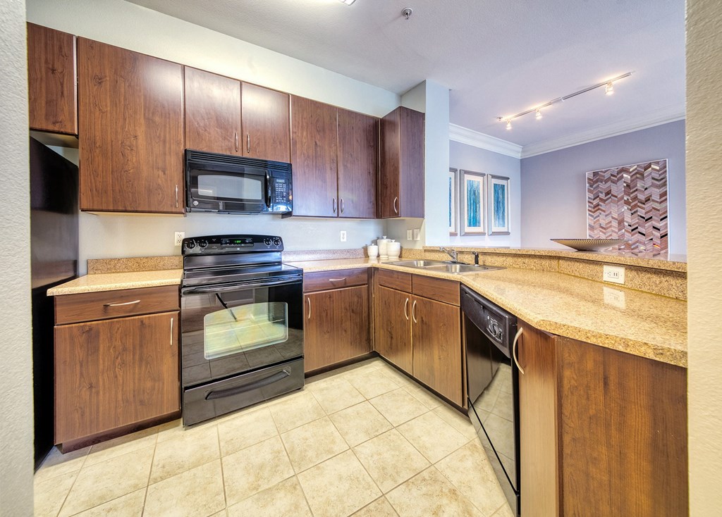 Courtney Station Apartments - Black appliance package with glass top range