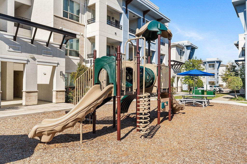 Playground - Everlee